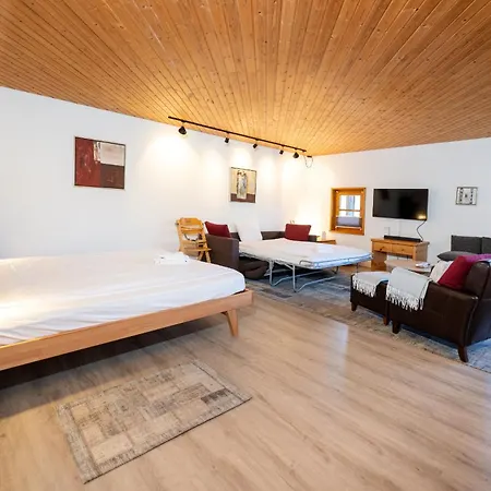 With Mountain View And Access Apartment *